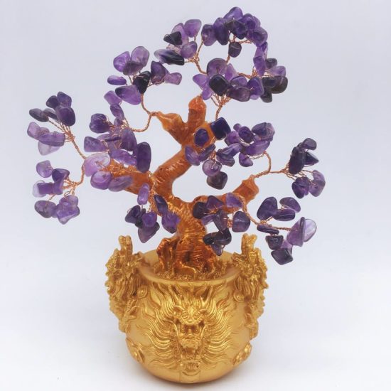 Cây tài lộc bonsai đang rất được ưa chuộng trong những dịp tết đến xuân sang